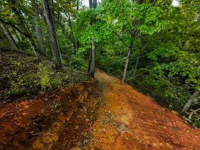 29500 Houston Rd, Little Hocking, OH 45742 - photo 4