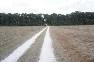 00 (TBD) NE 141st St, Citra, FL 32113 - photo 3