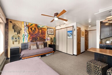 725 E Main St unit 205, Aspen, CO 81611 - photo 6
