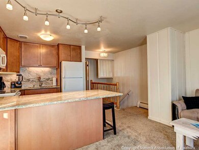144 Gold Run Cir unit 21, Dillon, CO 80435 - photo 5