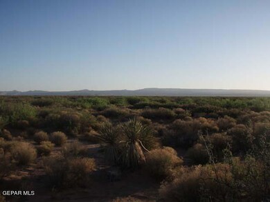 03-Photo 3