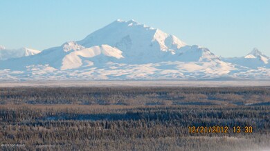 IMG_0951