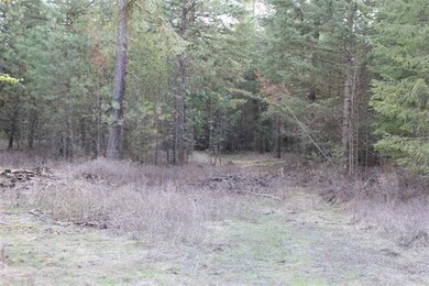 2348 W Bernhill Rd, Spokane, WA 99208 - photo 3