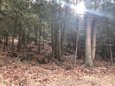 250 Brookfield Rd, Sturbridge, MA 01518 - photo 3