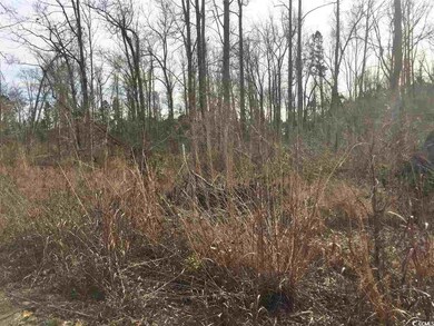 1028 Merritt Rd unit 1016 Merritt Road, Conway, SC 29526 - photo 2