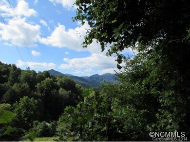 217 Evergreen Rd, Burnsville, NC 28714 - photo 5