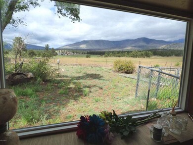 Kitchen Window View