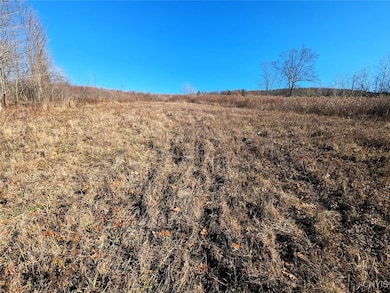 0 Two Rod Rd, Bath, NY 14810 - photo 3