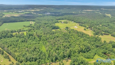 9.0 County Road 122, Fort Payne, AL 35968 - photo 4