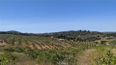 11160 Berry Rd, Valley Center, CA 92082 - photo 3