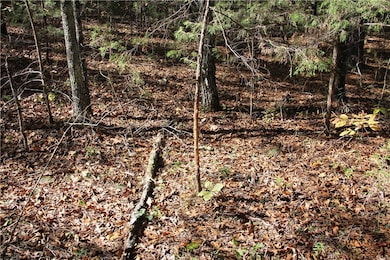 0 Cr 935 unit 1329173, Berryville, AR 72616 - photo 3