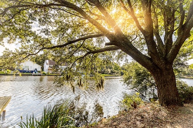 713 Lake Frances Dr, Charleston, SC 29412 - photo 4