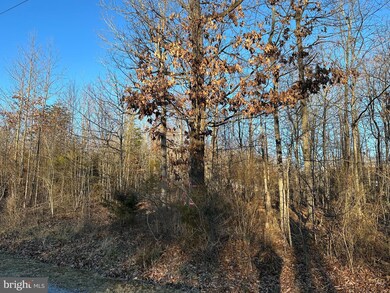 0 Woodland Dr unit VAPA2003168, Luray, VA 22835 - photo 7