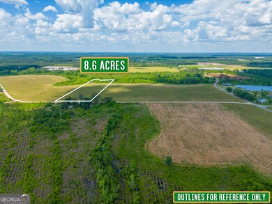 Tract 9 Sellers Rd, Baxley, GA 31513 - photo 5