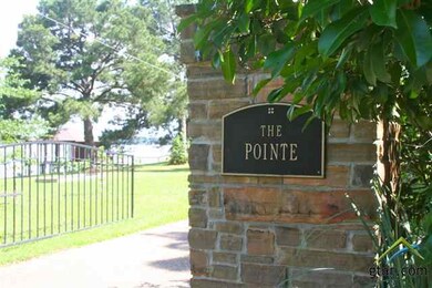 16420 Live Oak St, Tyler, TX 75707 - photo 5