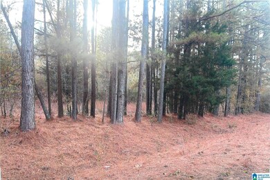 0 Cove Access Rd unit 21437297, Talladega, AL 35160 - photo 2