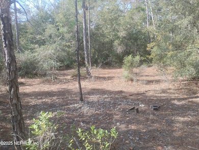 5812 Bryce St, Keystone Heights, FL 32656 - photo 3