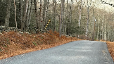 X Aldrich Rd, Wurtsboro, NY 12790 - photo 4