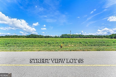 TRACT 5 Clay Brown Rd, Hartwell, GA 30643 - photo 3