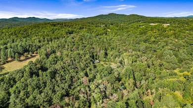 0 Evergreen Ln unit 7650667, Mineral Bluff, GA 30559 - photo 6