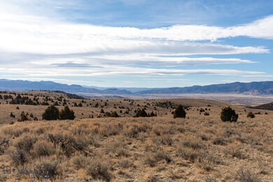 27 Mill Gulch Rd, Sheridan, MT 59749 - photo 5