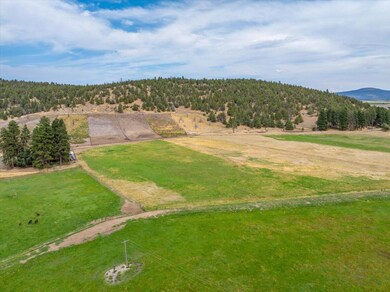 1827 W Ball Mountain Little Shasta Rd, MacDoel, CA 96058 - photo 5