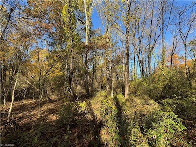 00 Day Dr, Hamptonville, NC 27020 - photo 6