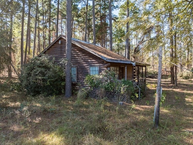 17151 Pintail Dr, Flint, TX 75762 - photo 3