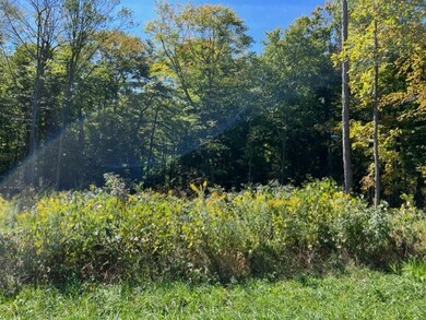 833 Township Road 754, Ashland, OH 44805 - photo 4