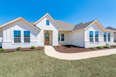 1057 Monaco Ct, Springtown, TX 76082 - photo 4