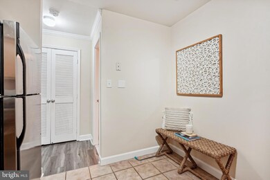 3813 Chesterwood Dr, Silver Spring, MD 20906 - photo 7