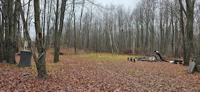 0 Countyroad Ww, Merrill, WI 54452 - photo 2