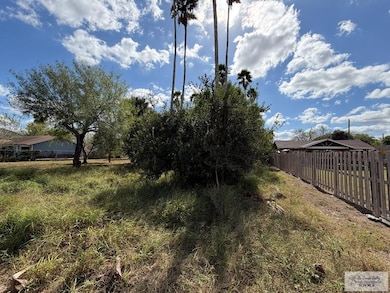 00 Botts Ave, Harlingen, TX 78552 - photo 3