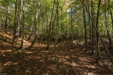 00 E Brocktown Rd, Moravian Falls, NC 28654 - photo 4