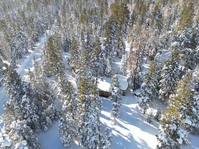 Wooded lot