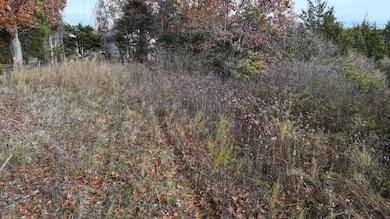 DJI_20251111125015_0005_D