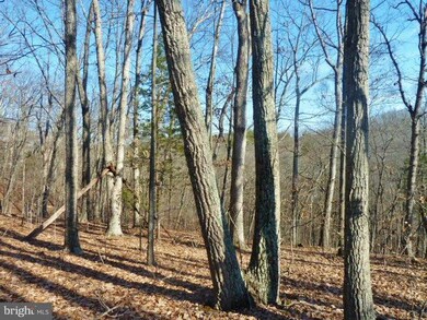 LOT 33 Comforter Ln, North River, VA 22645 - photo 7