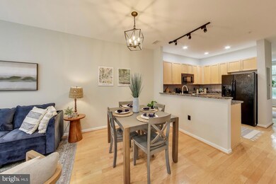 343 Cedar St NW unit 105, Washington, DC 20012 - photo 4