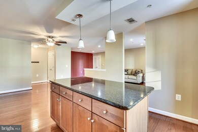 4111 S Four Mile Run Dr unit 404, Arlington, VA 22204 - photo 3