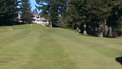 920 E Old Ranch Rd unit Lot 1, Allyn, WA 98524 - photo 2