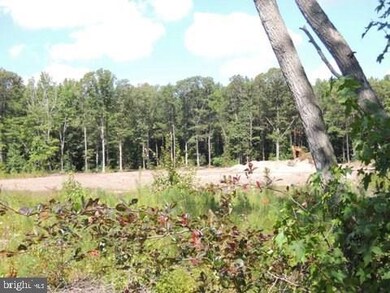 Lot 5 Asketum Branch Rd unit 5, Georgetown, DE 19947 - photo 5