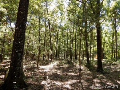 00 276th Terrace, Branford, FL 32008 - photo 3