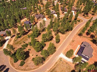 0 Engine Creek Ct unit 769146, Durango, CO 81301 - photo 2