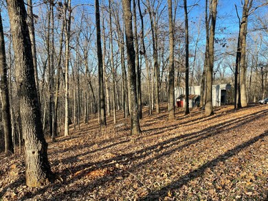 1536 S Wild Oaks Dr, Nixa, MO 65714 - photo 5