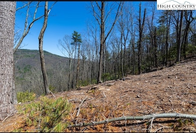 84 Wilderness Reserve Pkwy, Deep Gap, NC 28618 - photo 7