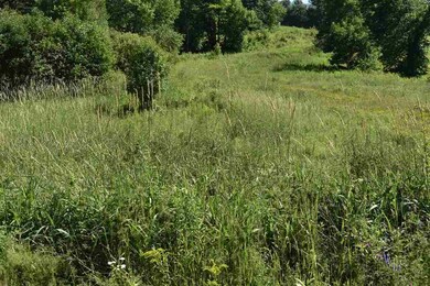 Rte. 18 Saint Johnsbury, Littleton, NH 03561 - photo 5