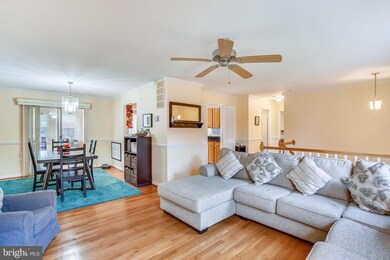 5 Joshua Tree Ct, North Potomac, MD 20878 - photo 5