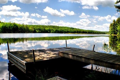 201 Water View Dr, Hawley, PA 18428 - photo 4