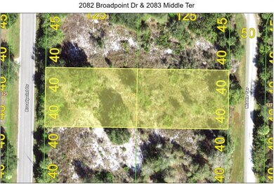 80 x 250