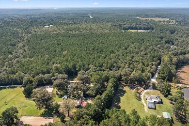 aerial
